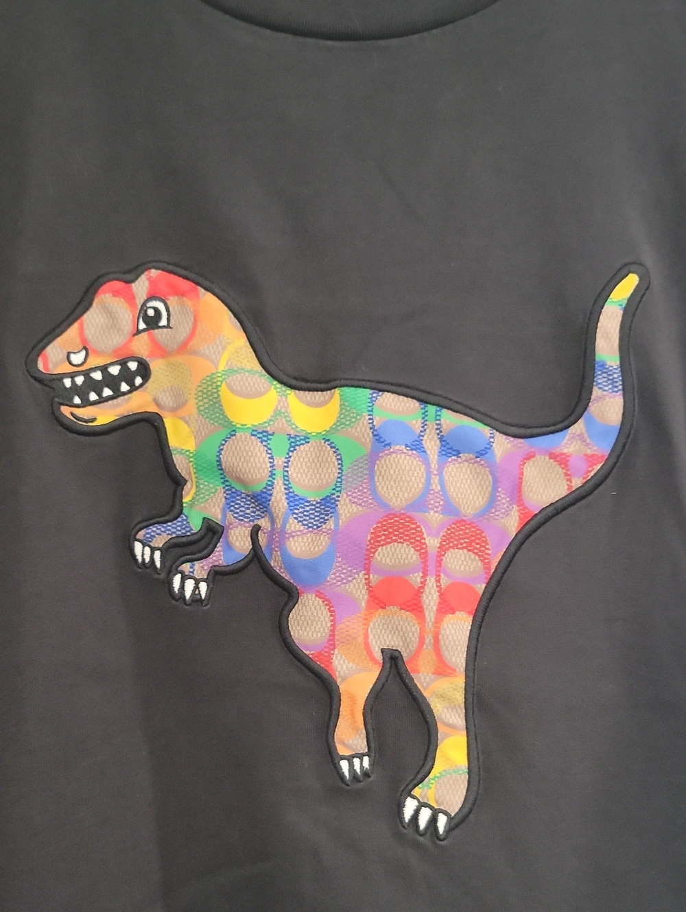 Coach Dinosaur Collection Tee - Picture 3 of 3